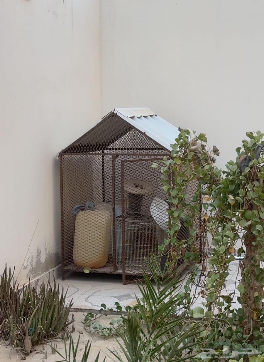 شبك جديد سللليم مافيه شي64437328685827112