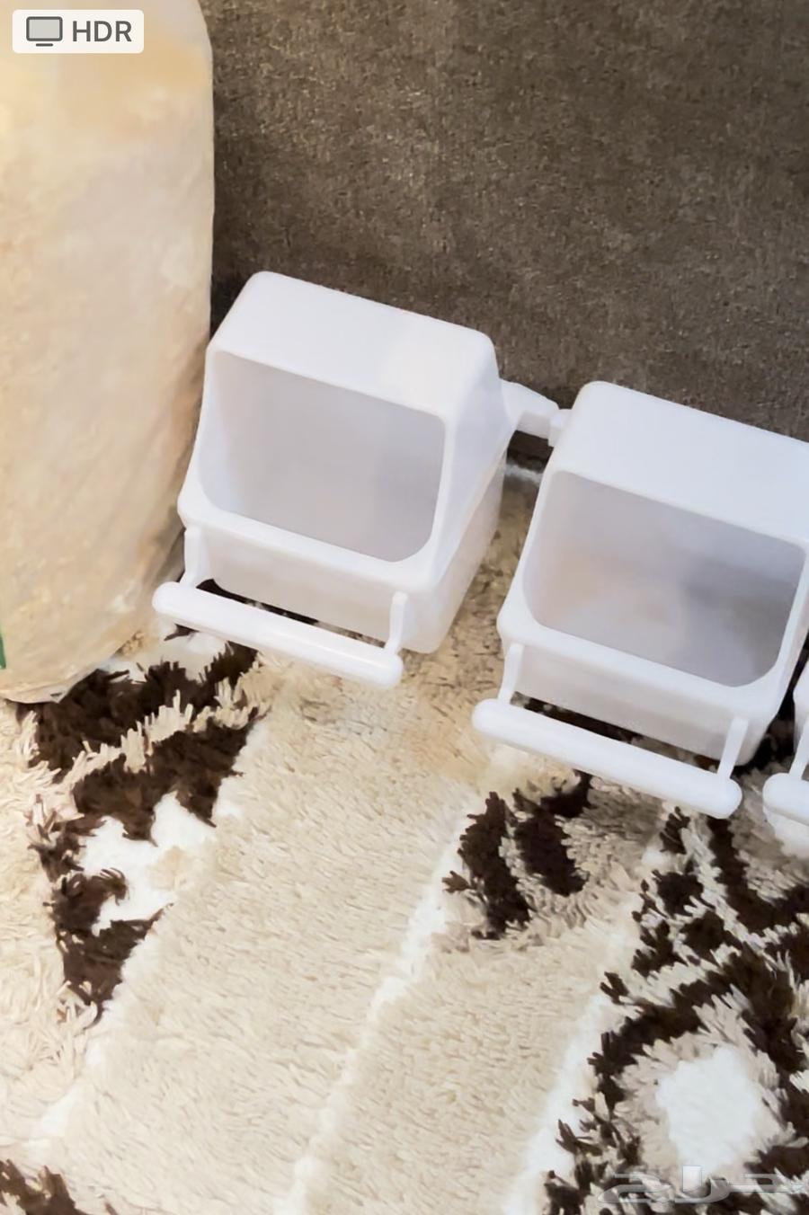 انثى الروز للبيع مع كامل اغراضها64441185472769113