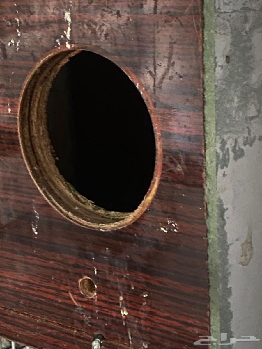 عندي طيور زينه للبيع بادجي 3 وروز 3 و 1كروان البيع مستعجل64439430957057112