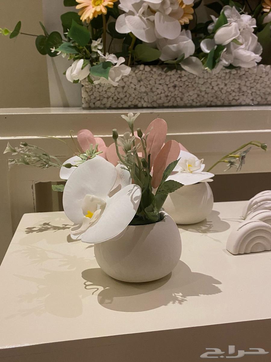 استقبال مواليد بنت لون وردي جاهز64434497607171114