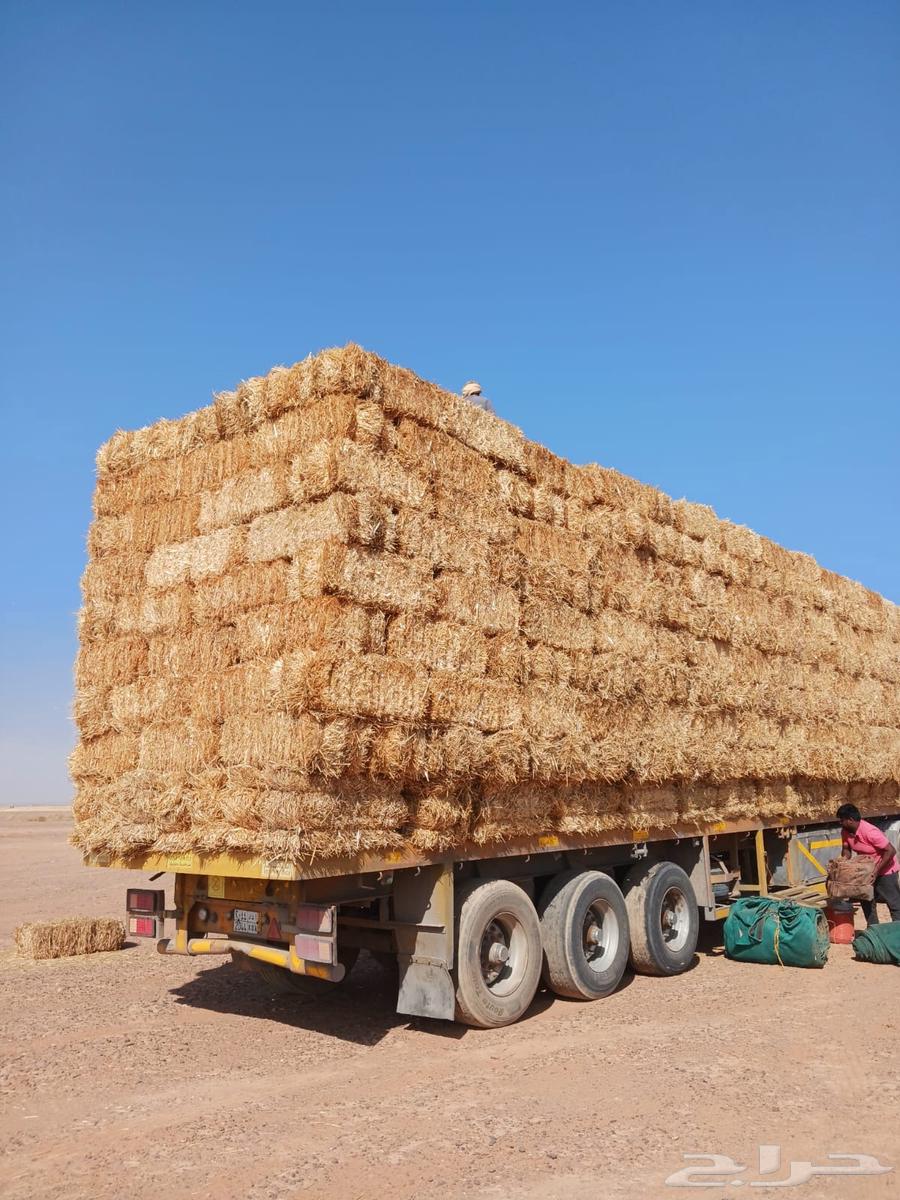 الدفع عند الاستلام64437342120449111