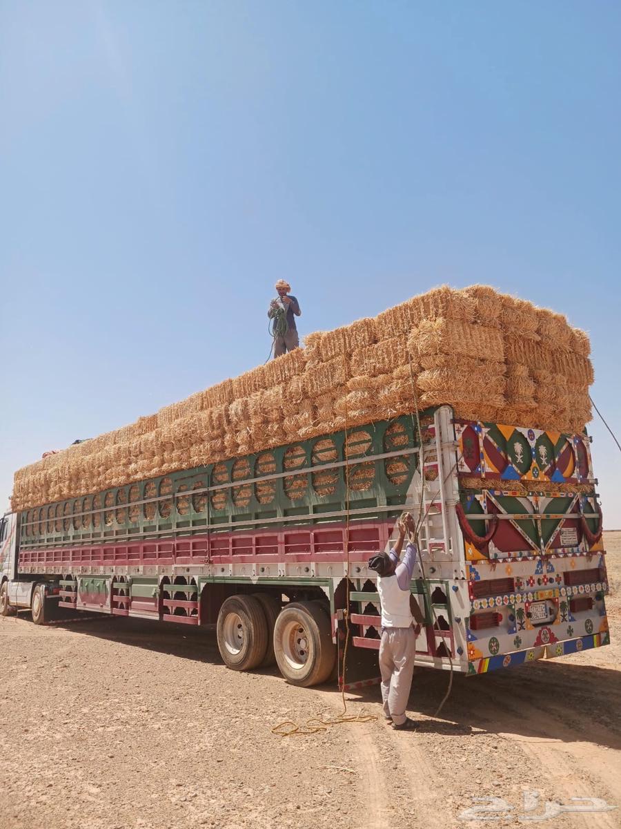 الدفع عند الاستلام64437342120449110