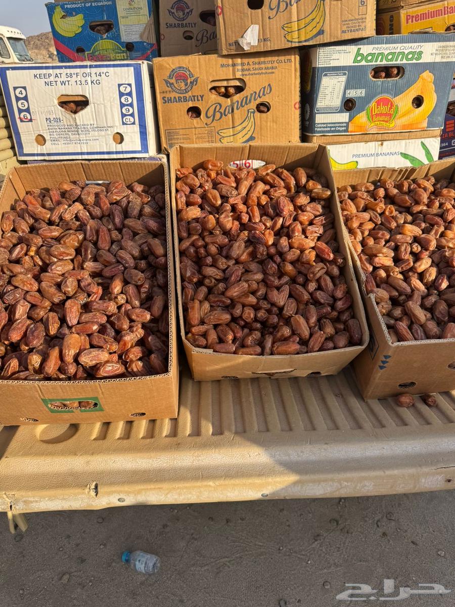 تمر للبيع 100 كرتون سوق القوباء التمور64438686011779110