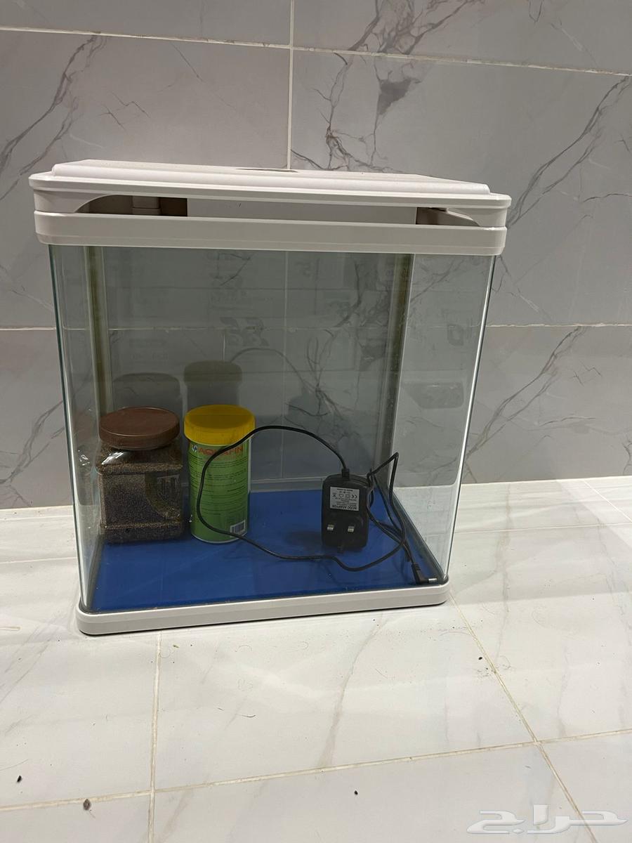 حوض سمك نظيف64441554024707110
