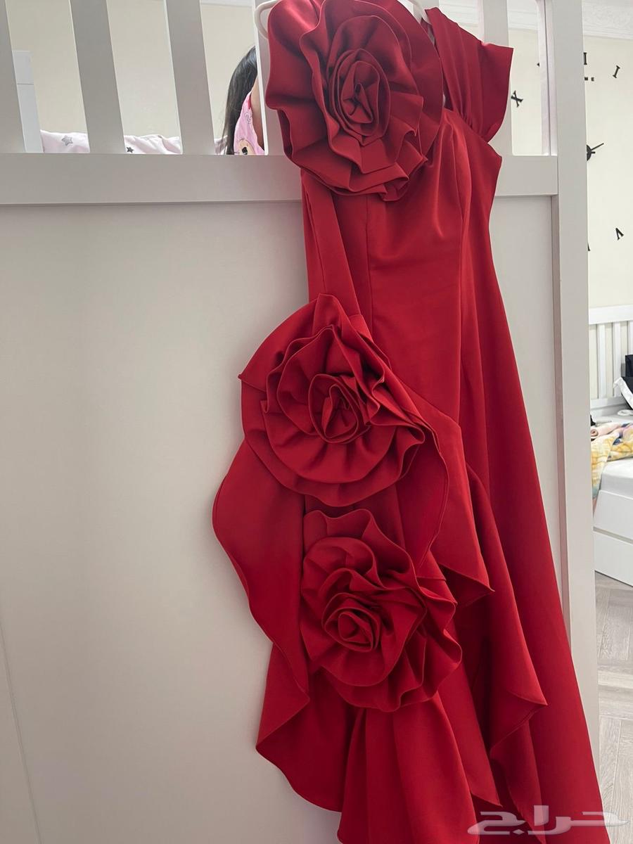 Worn only twice64439131776897113