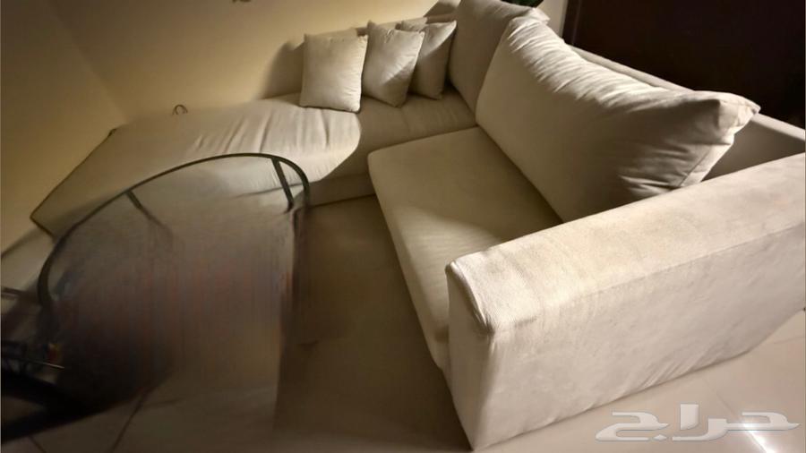 A new couch, I swear it's only six months old64441869255041110