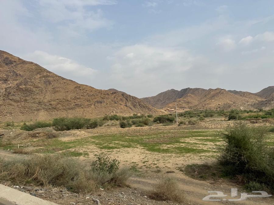 أرض زراعية بصك بمساحة 3919 - الباحة المخواة - وادي الاحسبة64142377649795111