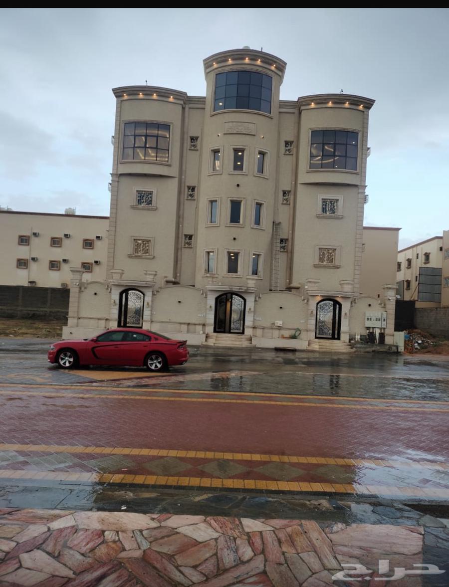 We have a skilled worker in drywall tiling and painting64433673105026113