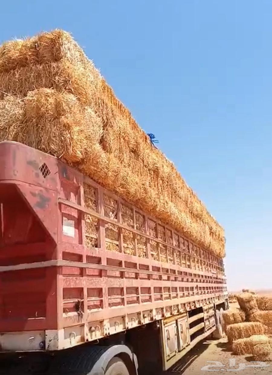 الدفع عند الاستلام64437342120449112