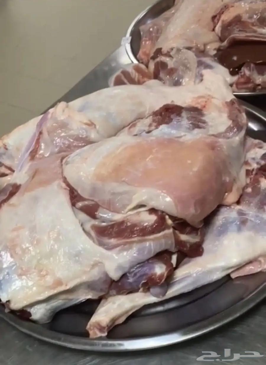 Local lambs aged 4 to 6 months, farm-raised, ready for refrigerator64438351320194111