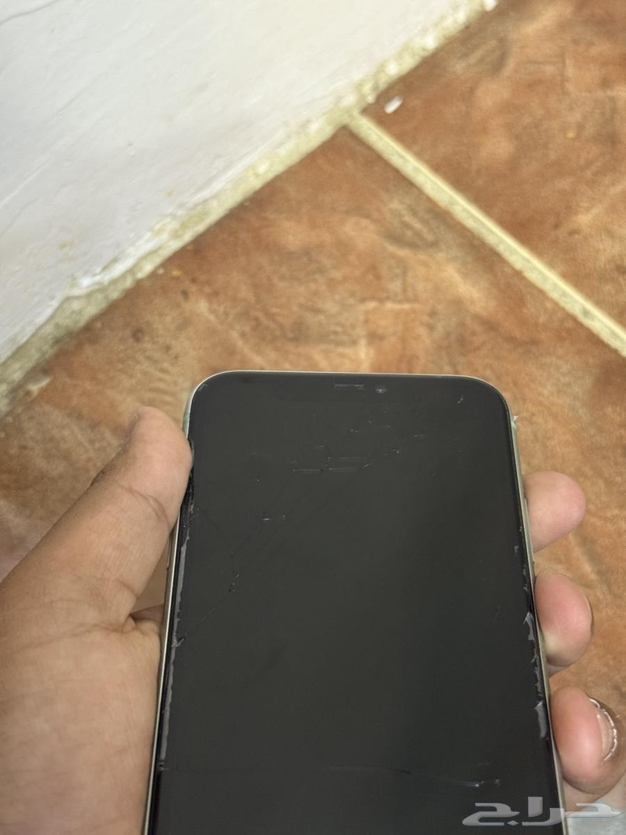 Hello, we are offering a regular iPhone 11 for 55064441705121794112