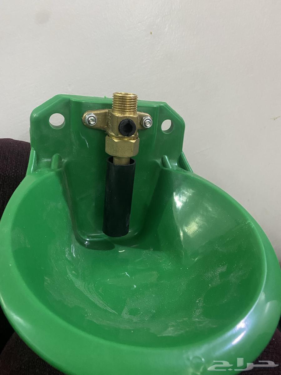 Sheep waterer64441827980931110