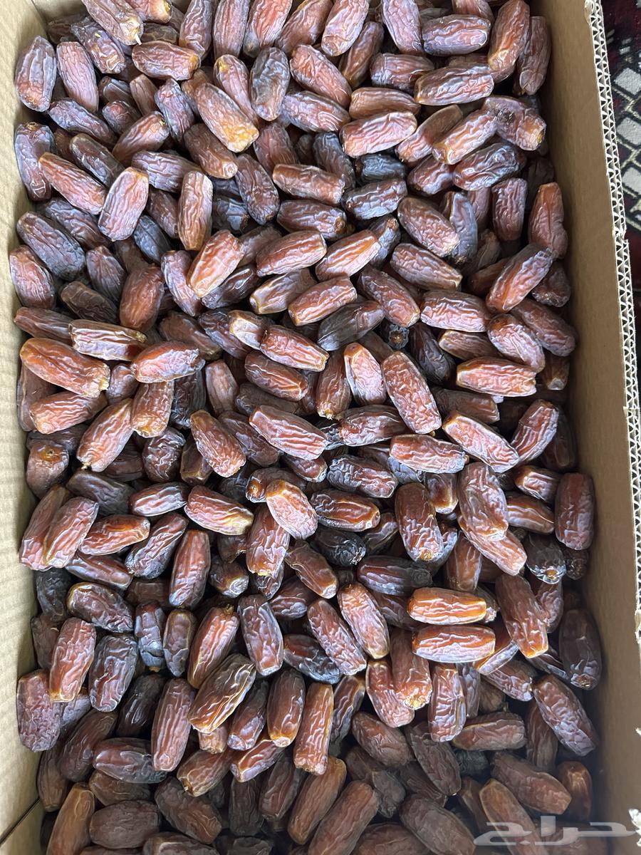 Palm64438511893891112