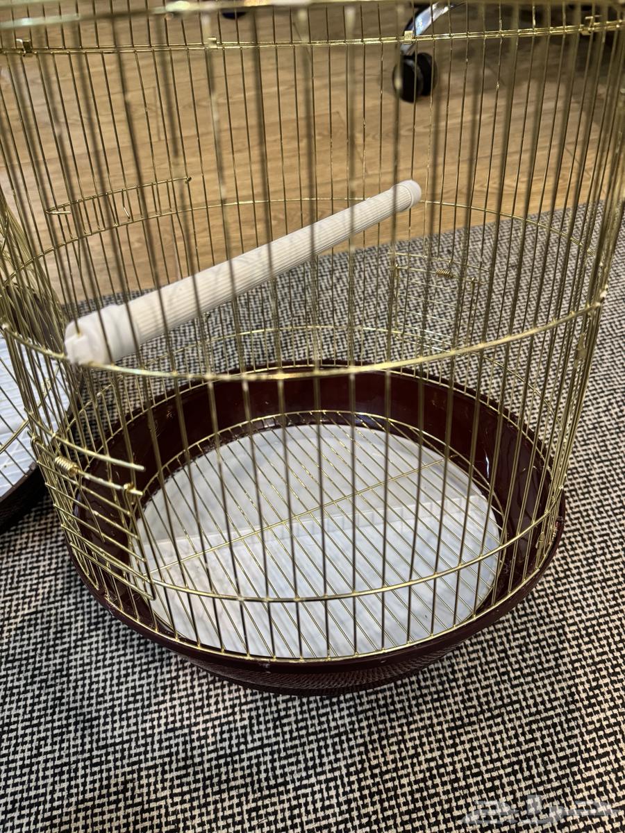 Two cages for 70 SAR, clean64437463315841113