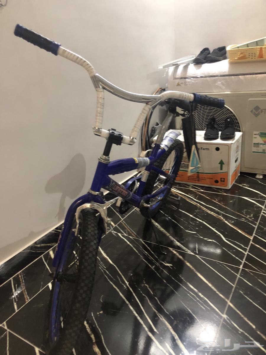 Cobra bicycle64433766781186110