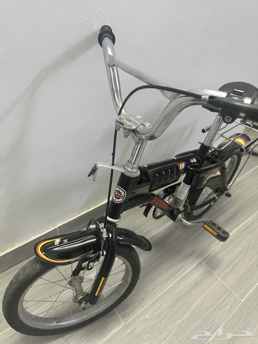 سيكل رامبو مقاس 1464434687670018114