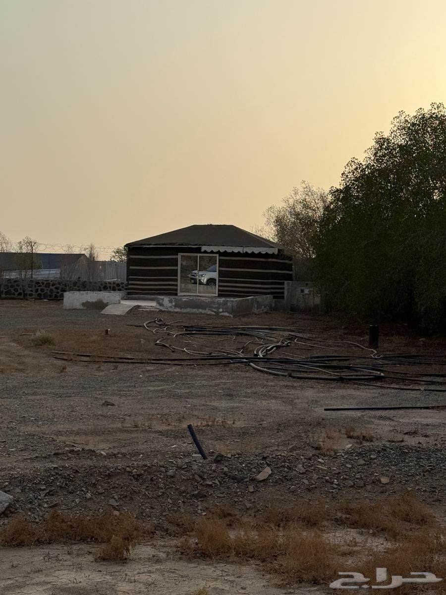 بيت شعر بكامل أثاثه للبيع64440887674242113