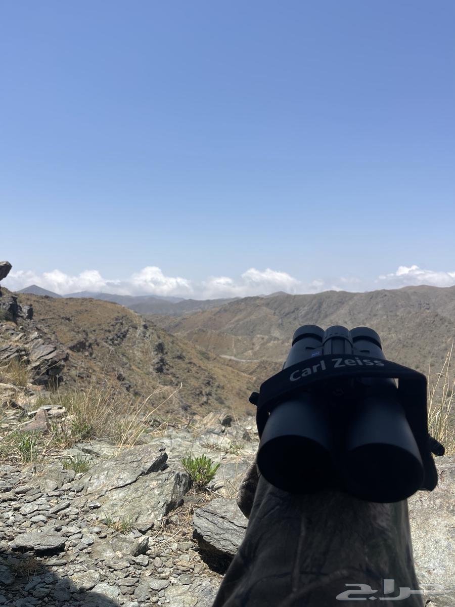 Dr. Beil size64435768415873111