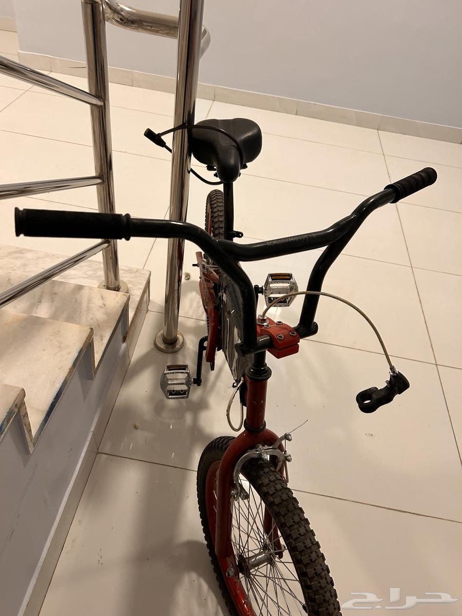 Cobra bicycle64441377593219113