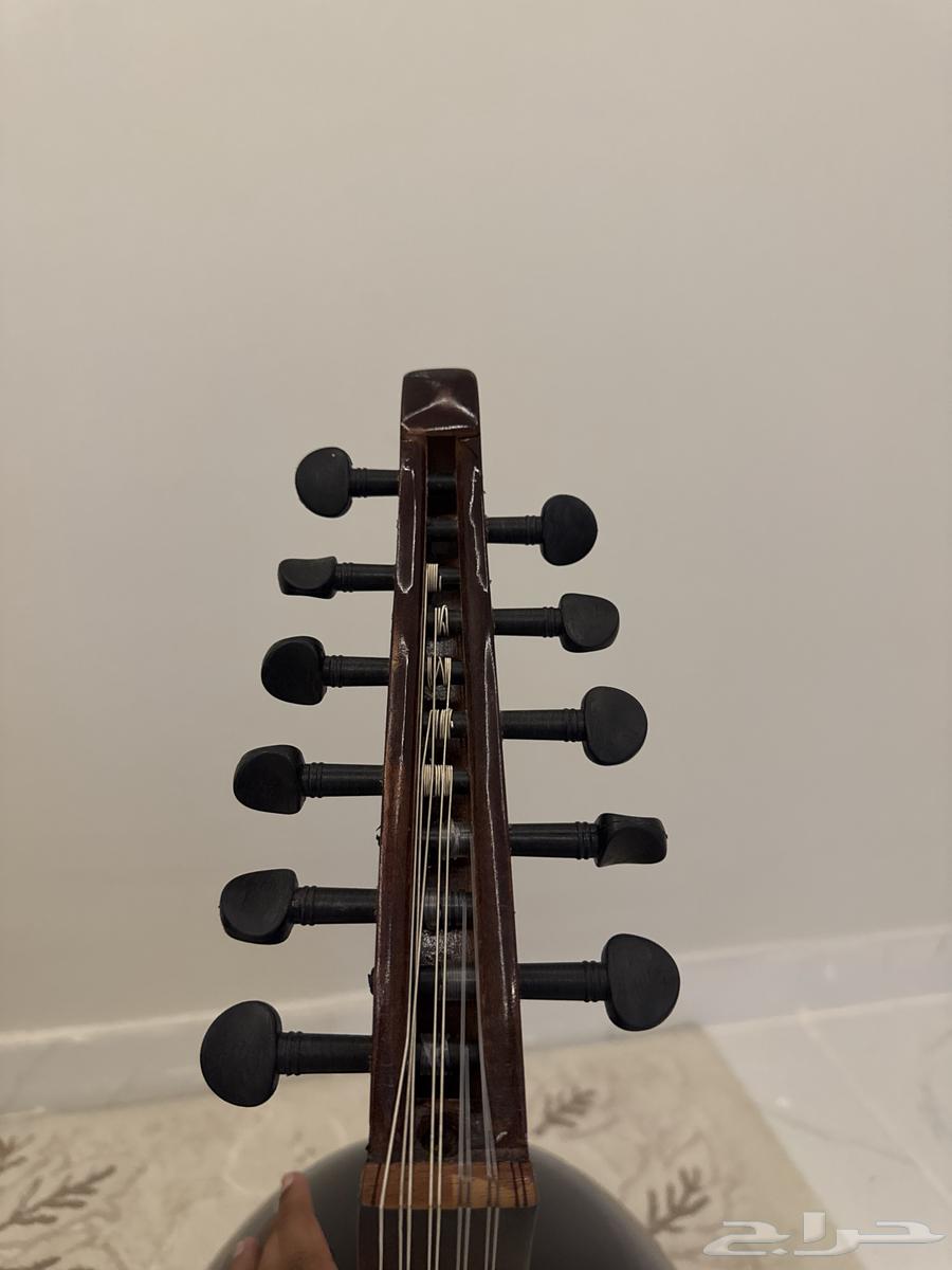 عود للبيع64437720029825113