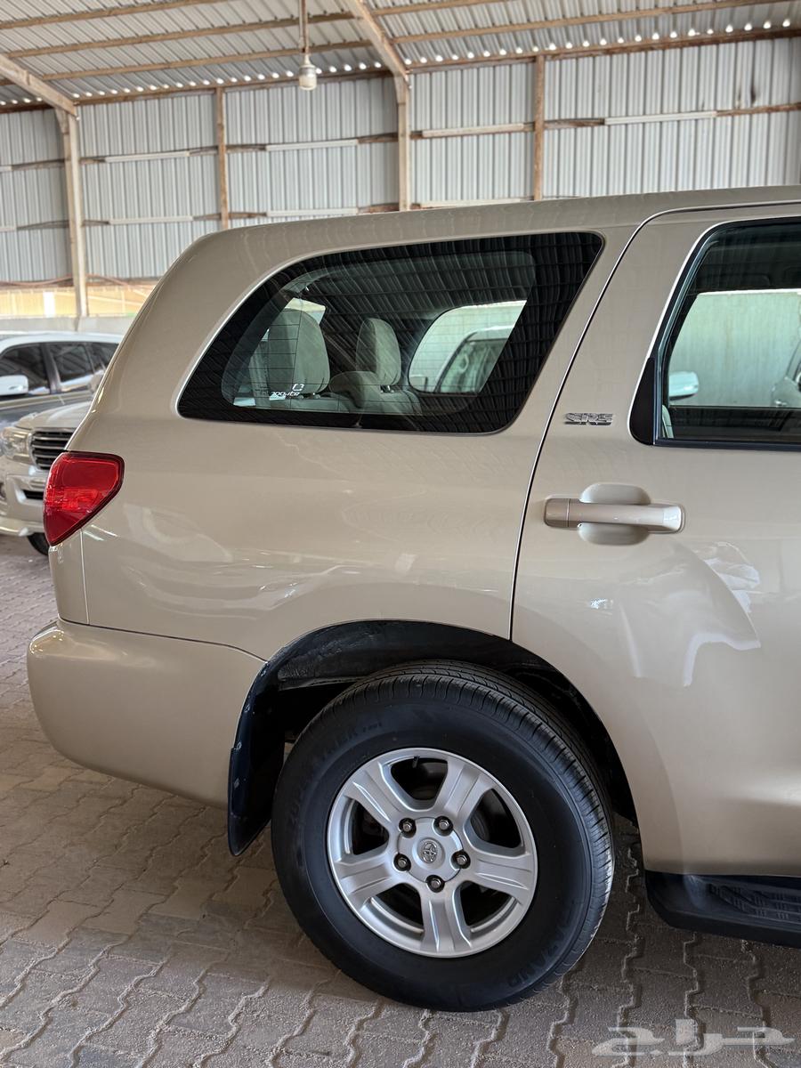 Scouia 201564598954233858114