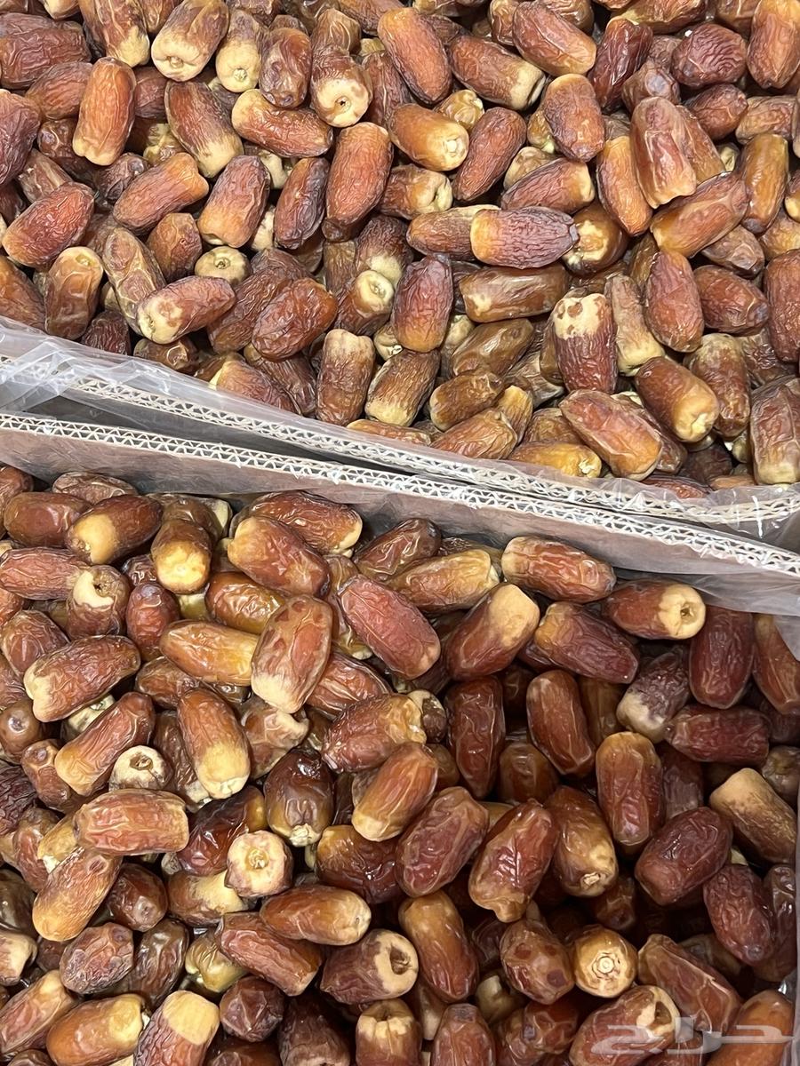 صقعي اليوم وصل حياكم الله64436051683969111