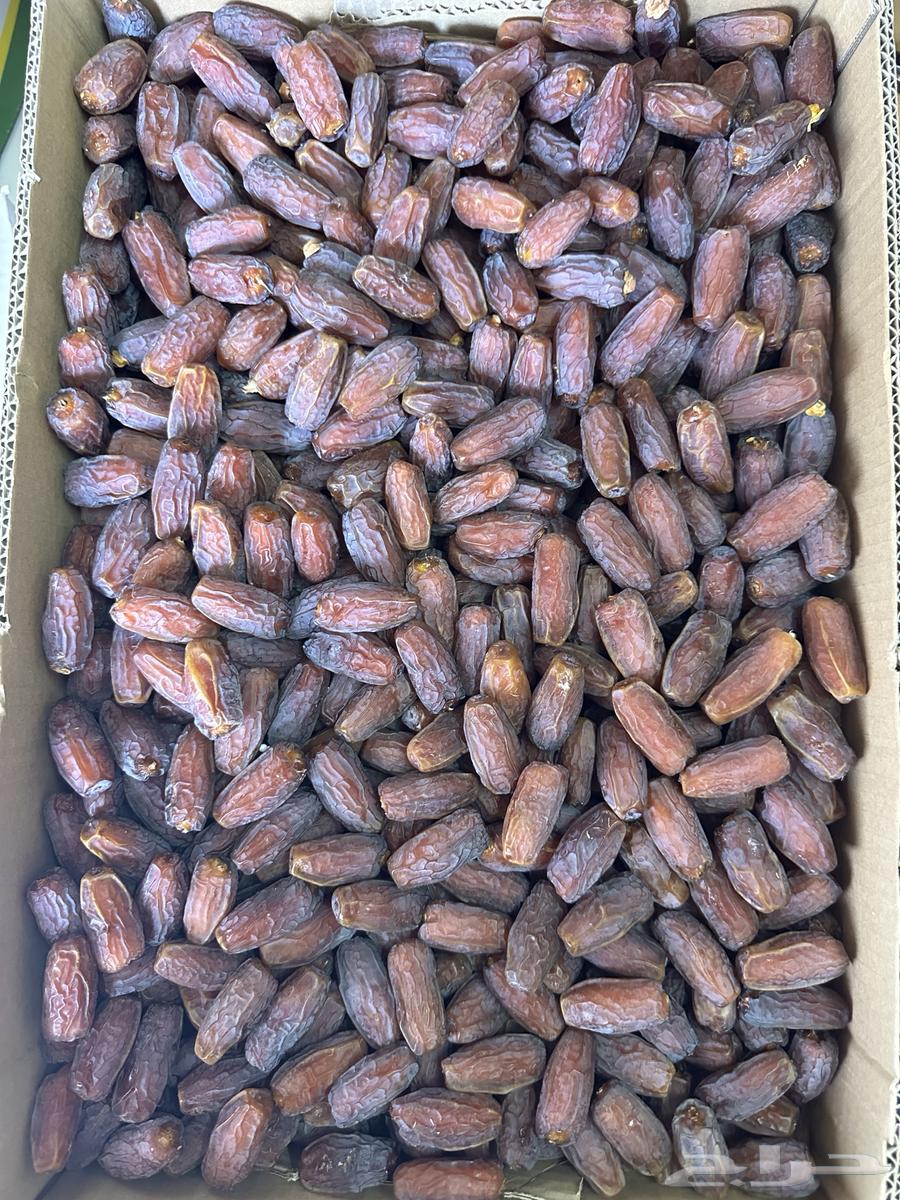 Palm64438511893891110