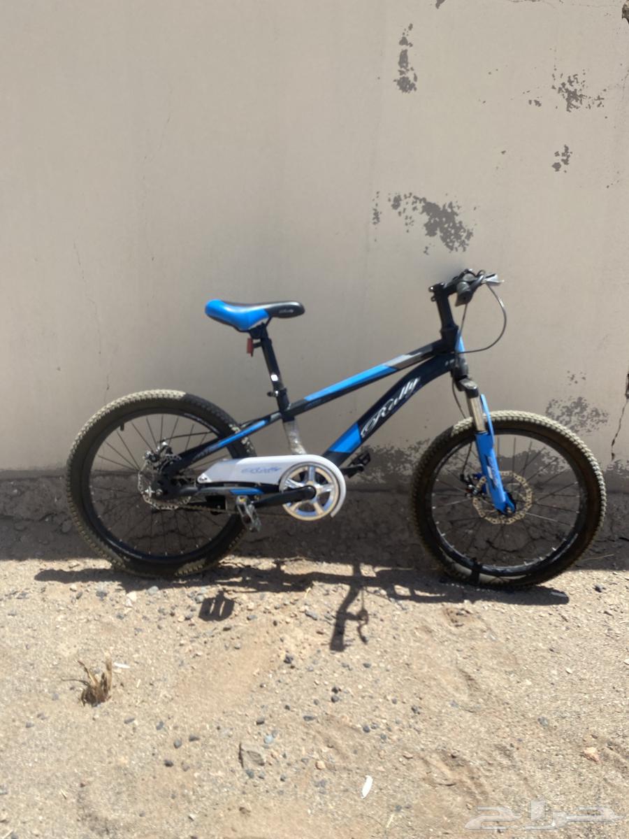 سيكل للبيع لا يجي إلا الصامل64438525008385110