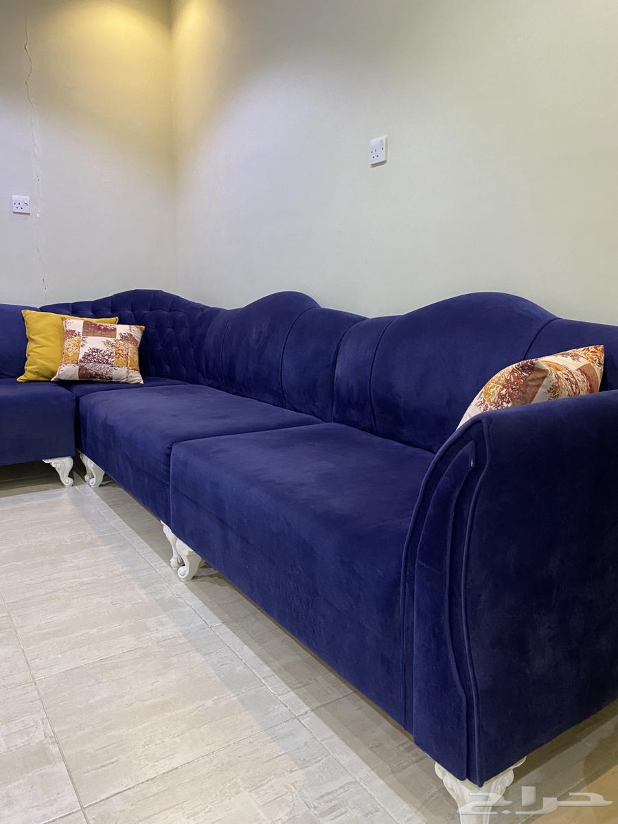 كنب حرف L64439788675713111