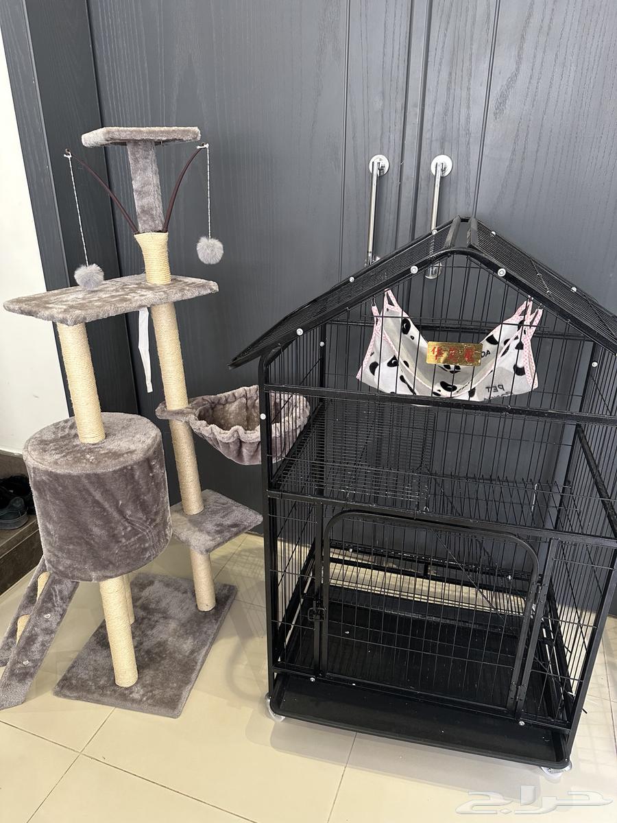 Your cat's cage with a luxury cat enclosure, including play and scratching area for cats64437207489539110