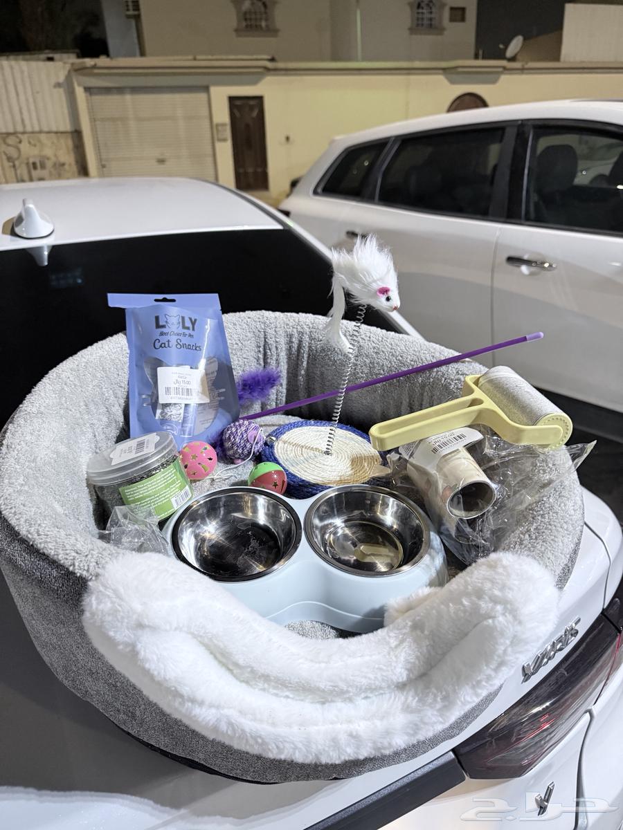 اغراض قطه للبيع64438324463363110