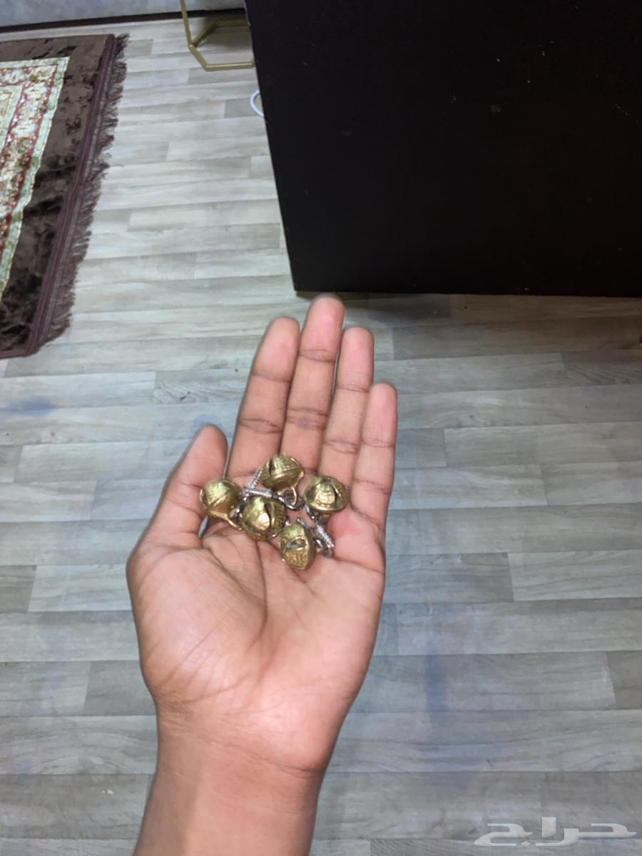 Tariq Al-Masqa'64441062864131113