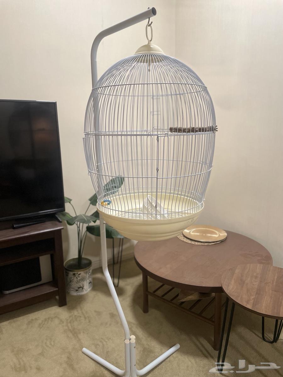 قفص علاق64438203428611110