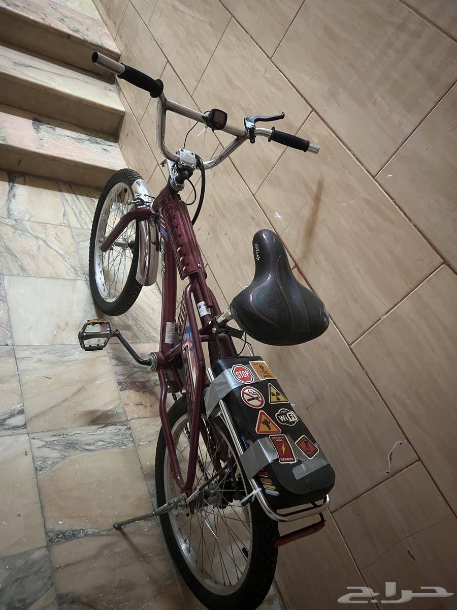 رامبو عنابي مقاس 2064439788651267111