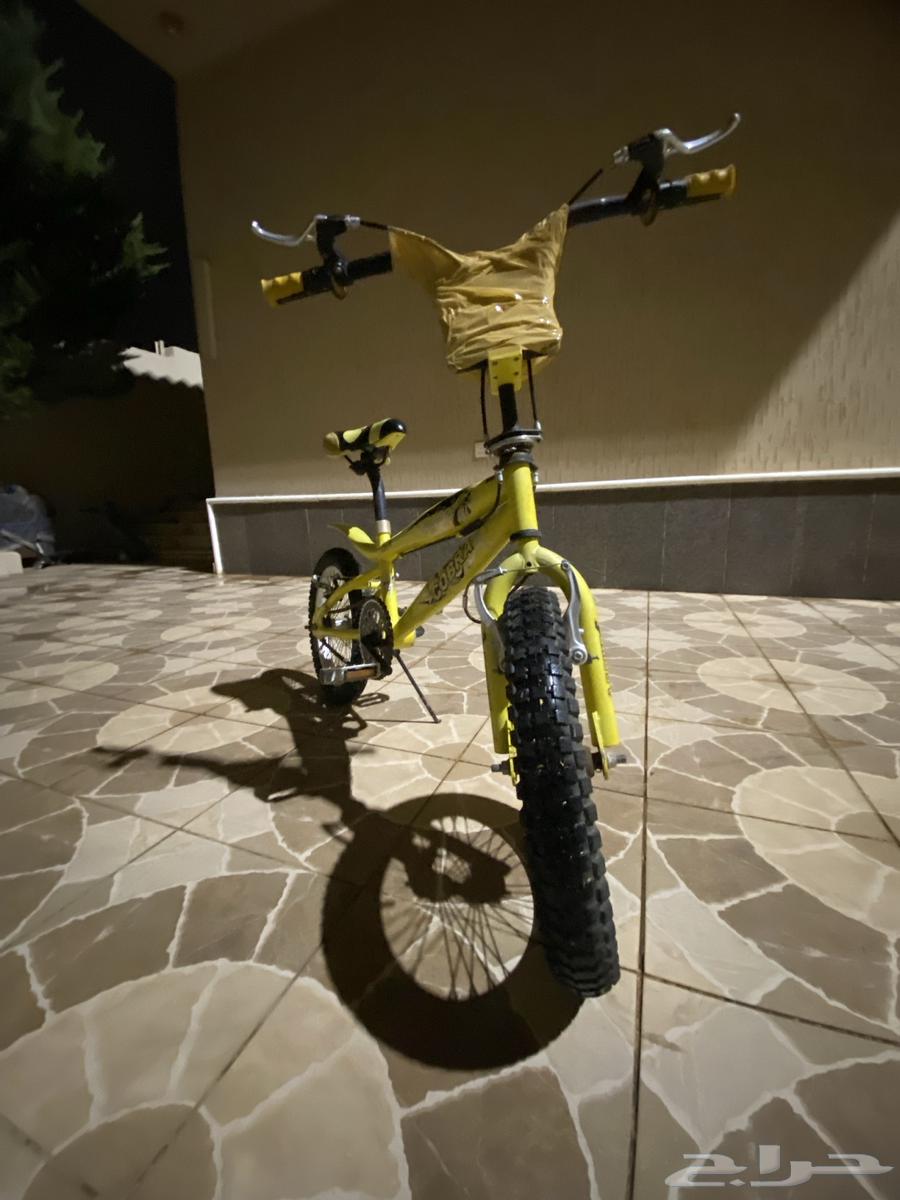 سيكل كوبرا نظيف المقاس 1664438123302401111