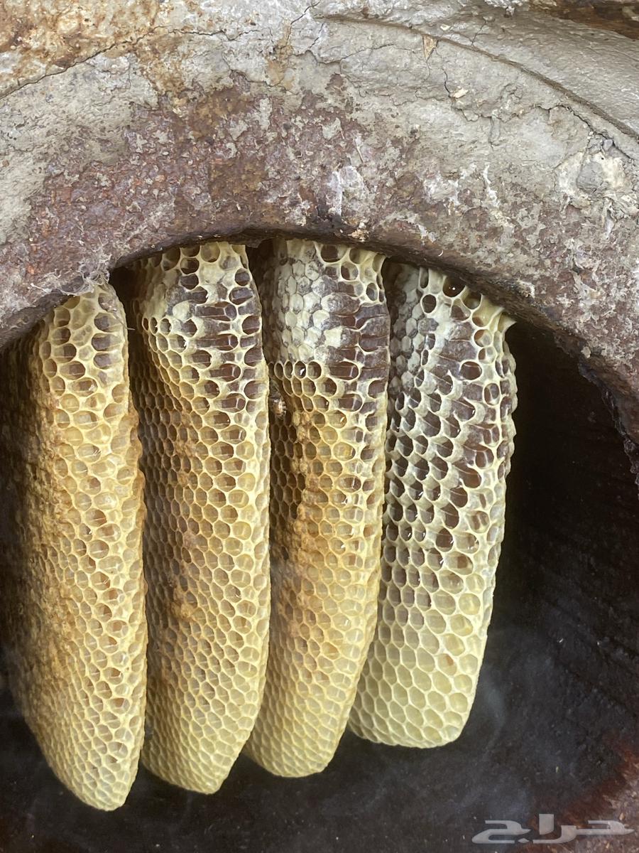 Honey from the Dhalaa region, guaranteed authentic and trustworthy64440819967491110