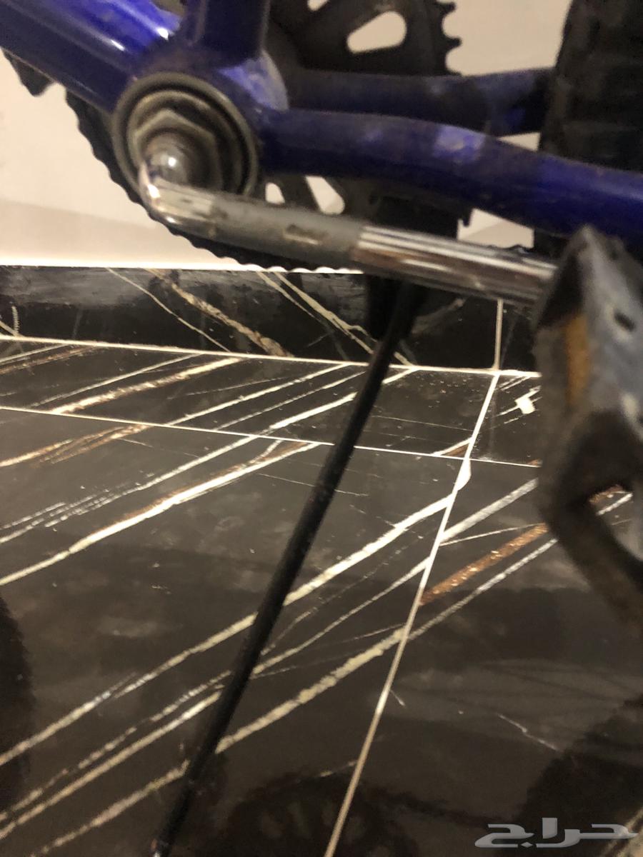 Cobra bicycle64433766781186112