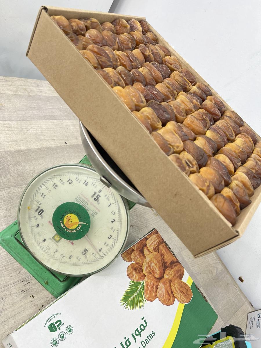 Hail Sugar Date64441540207490112