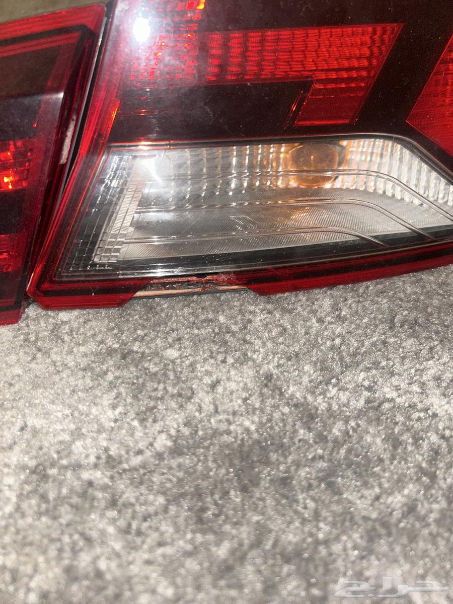 Rear Right Nitro Struts 2019-202064593765617538112