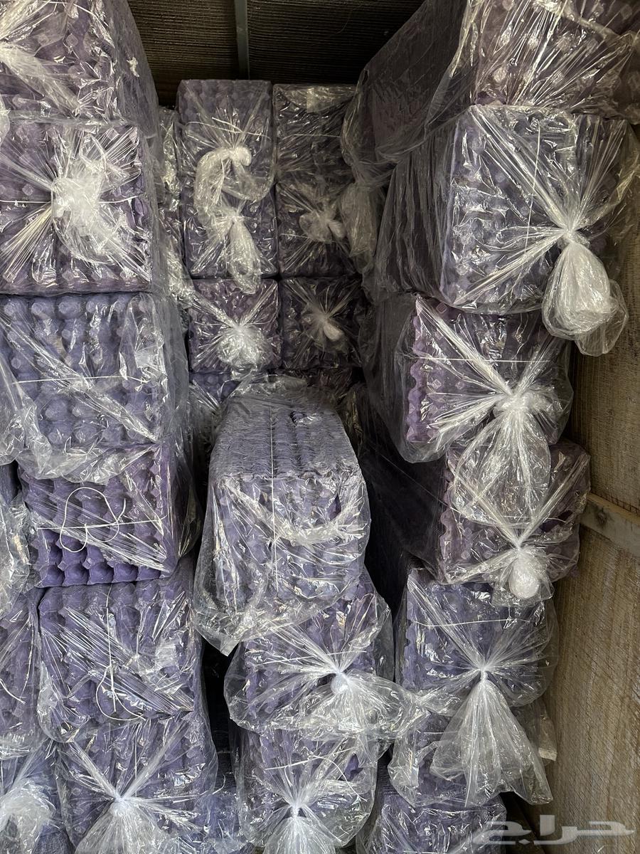 يتوفر اطباق بيض نظيفة جدا64439904231810112