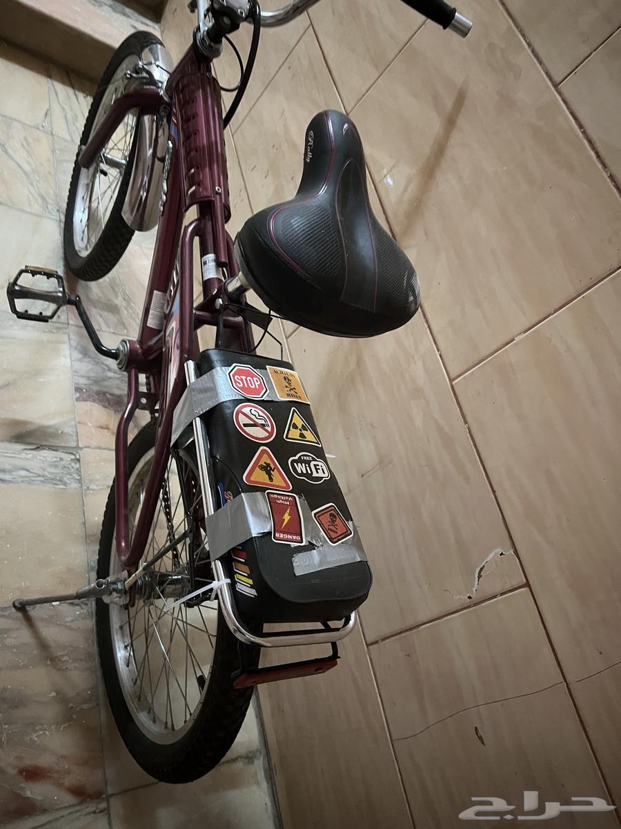 رامبو عنابي مقاس 2064439788651267114