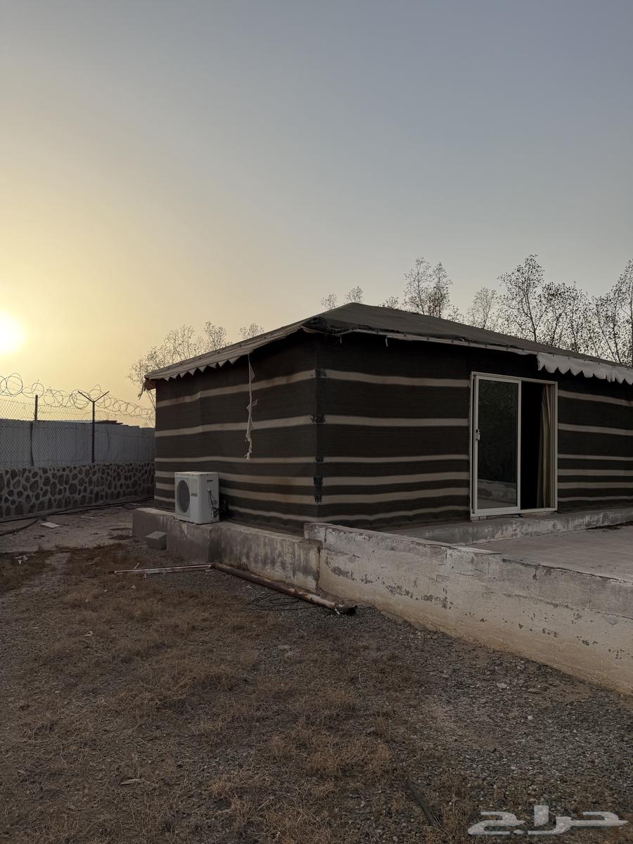 بيت شعر بكامل أثاثه للبيع64440887674242114