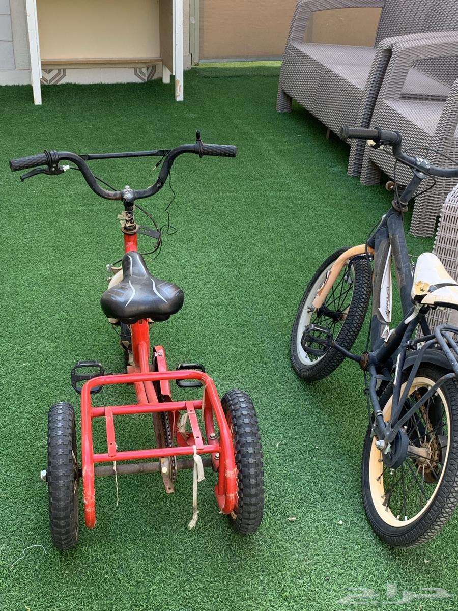 سياكل للبيع64440505714946111