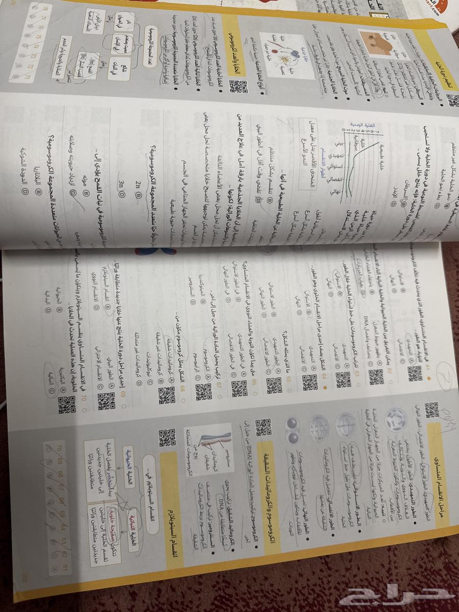 Nasser Abdul-Karim's 2024 Achievement Book64437247724547112