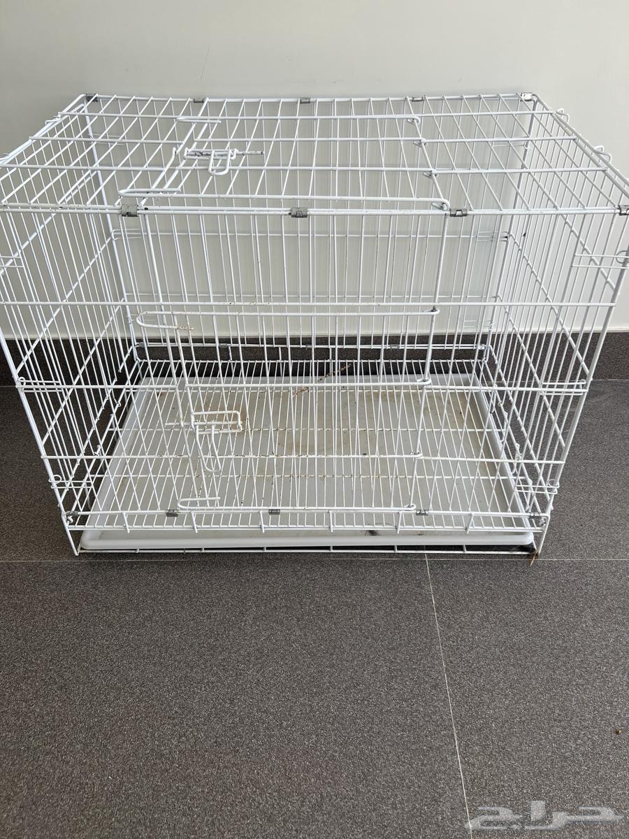 شبكين حيوانات حاله ممتازه64437275026050112