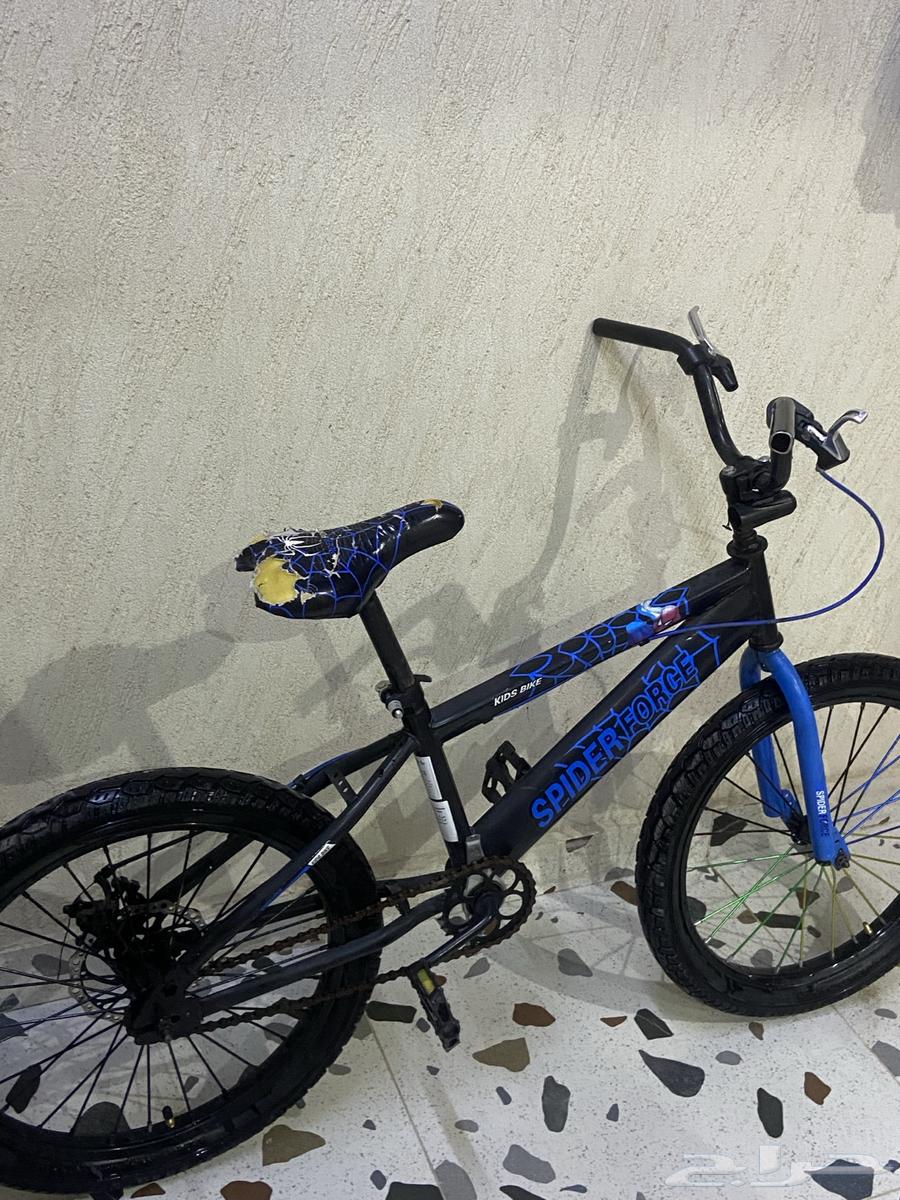 سياكل رياضي رامبو آخر من الاخر64440955065603112