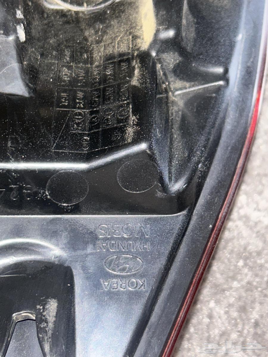 Rear Right Nitro Struts 2019-202064593765617538114