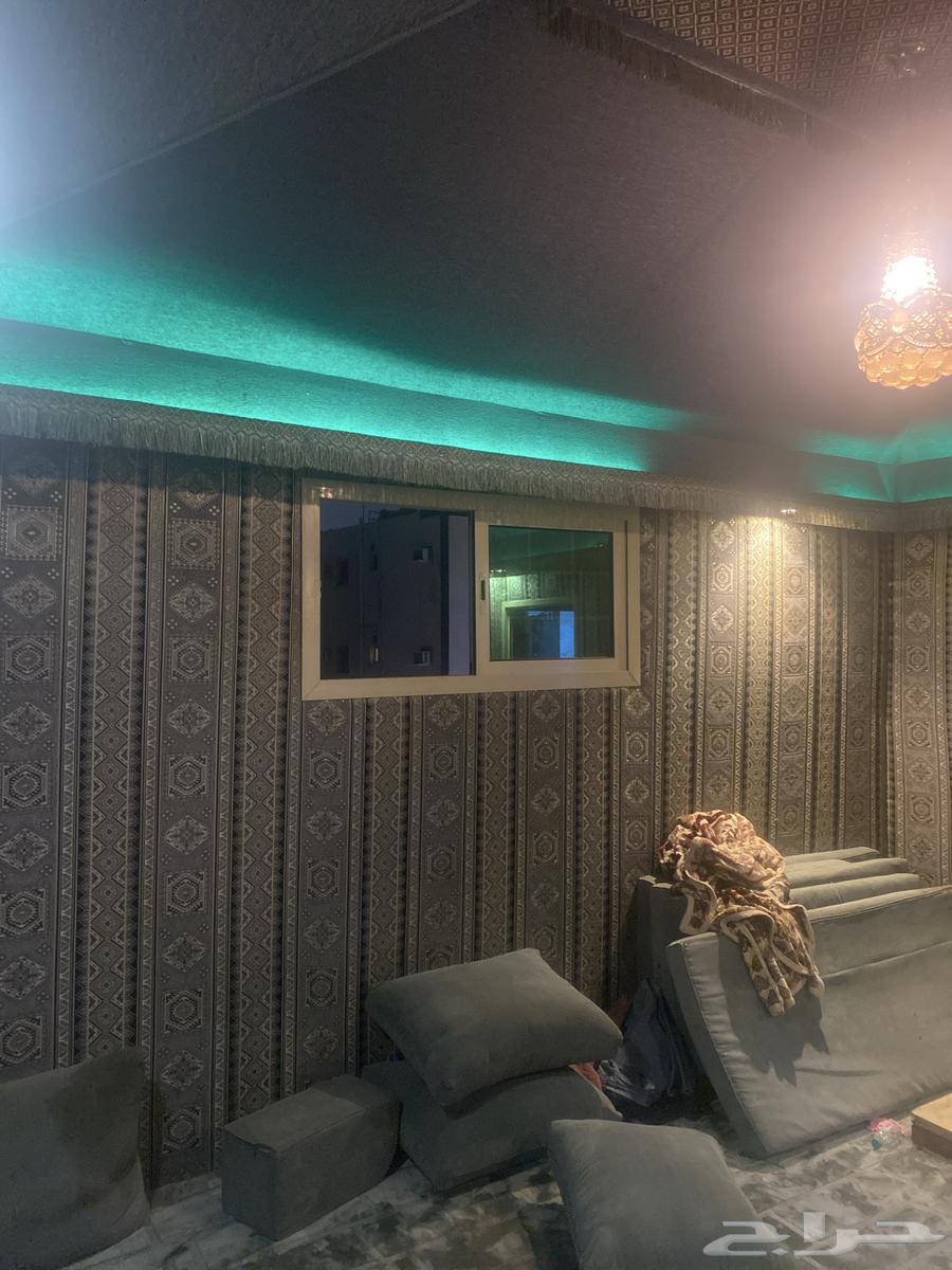 بيت شعر للبيع64440451423106111