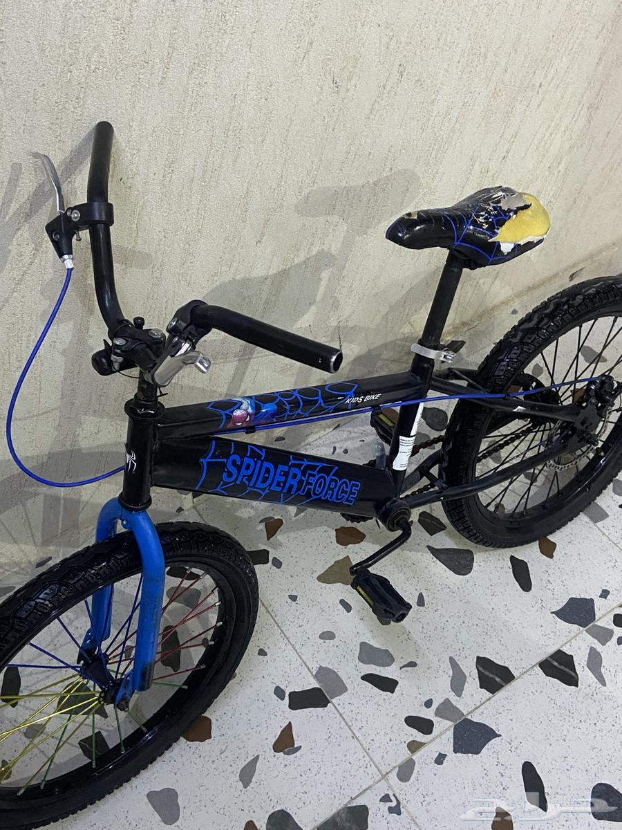 سياكل رياضي رامبو آخر من الاخر64440955065603114