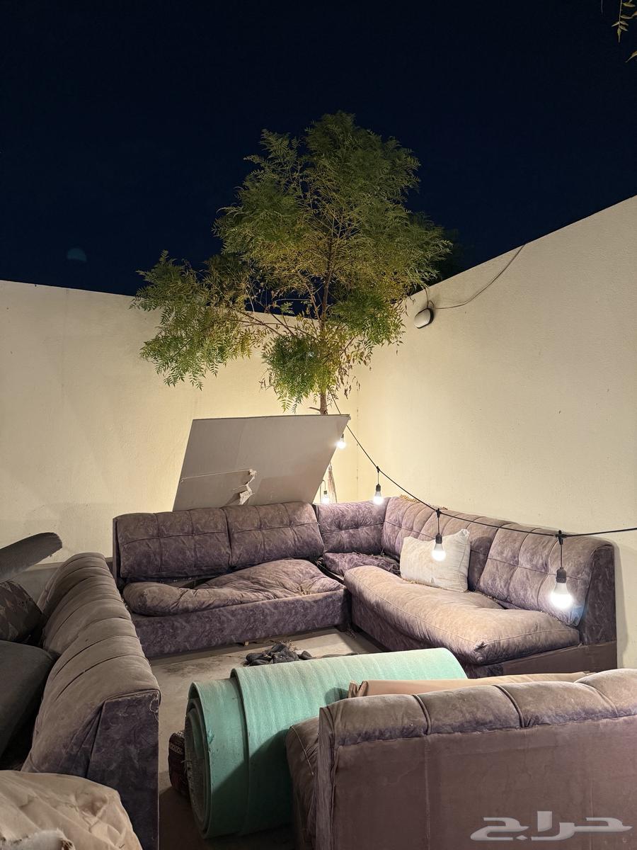 كنب 6 قطع وزاويه64441364026626111